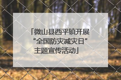 微山县西平镇开展“全国防灾减灾日”主题宣传活动
