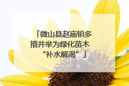 微山县赵庙镇多措并举为绿化苗木“补水解渴”