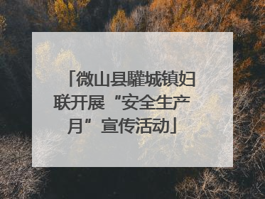 微山县驩城镇妇联开展“安全生产月”宣传活动