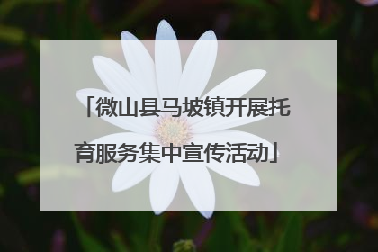 微山县马坡镇开展托育服务集中宣传活动