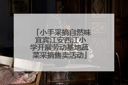 小手采摘自然味 宜宾江安西江小学开展劳动基地蔬菜采摘售卖活动