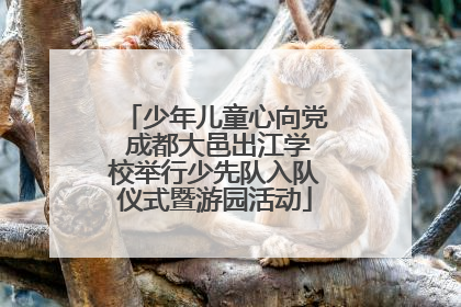 少年儿童心向党 成都大邑出江学校举行少先队入队仪式暨游园活动