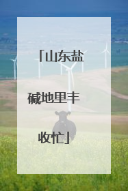 山东盐碱地里丰收忙