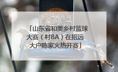 山东省和美乡村篮球大赛（村BA）在招远大户陈家火热开赛