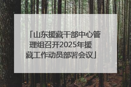 山东援藏干部中心管理组召开2025年援藏工作动员部署会议