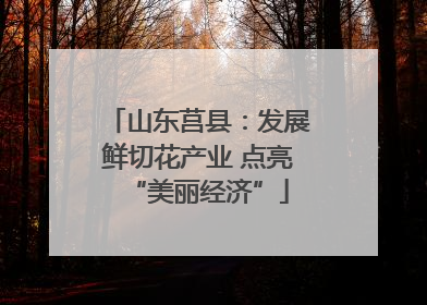 山东莒县：发展鲜切花产业 点亮“美丽经济”