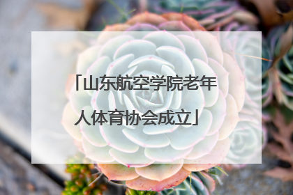 山东航空学院老年人体育协会成立