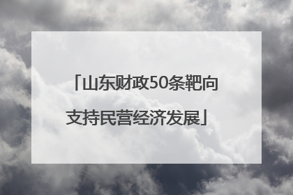 山东财政50条靶向支持民营经济发展