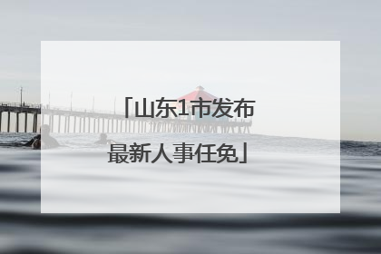 山东1市发布最新人事任免