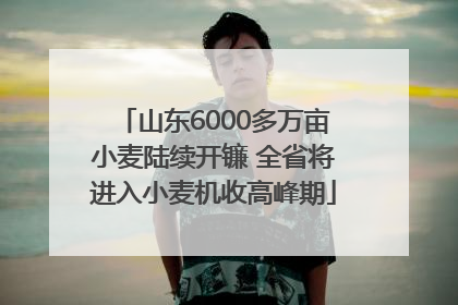 山东6000多万亩小麦陆续开镰 全省将进入小麦机收高峰期