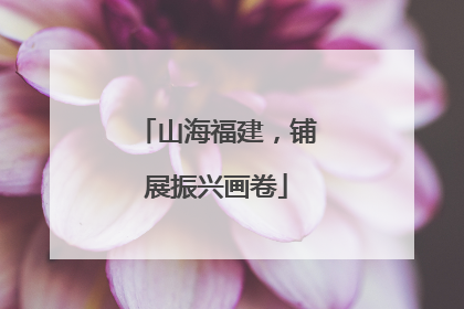 山海福建，铺展振兴画卷