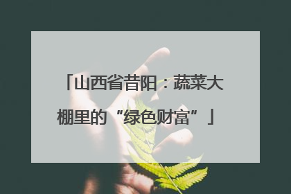 山西省昔阳：蔬菜大棚里的“绿色财富”