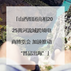 山西组团亮相2025黄河流域跨境电商博览会 加速推动“晋品出海”