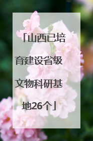 山西已培育建设省级文物科研基地26个