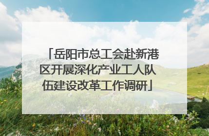 岳阳市总工会赴新港区开展深化产业工人队伍建设改革工作调研