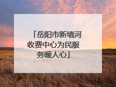 岳阳市新墙河收费中心为民服务暖人心