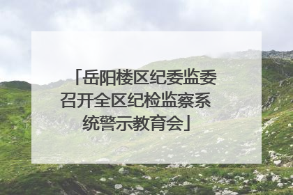 岳阳楼区纪委监委召开全区纪检监察系统警示教育会