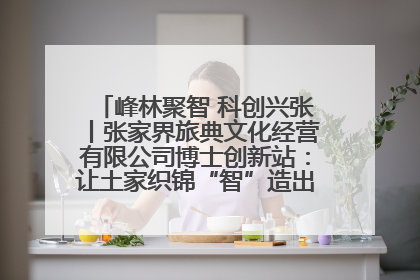 峰林聚智 科创兴张丨张家界旅典文化经营有限公司博士创新站：让土家织锦“智”造出非遗新传奇