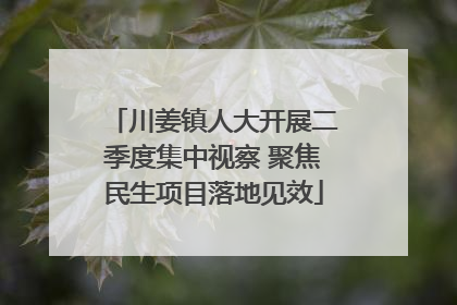川姜镇人大开展二季度集中视察 聚焦民生项目落地见效