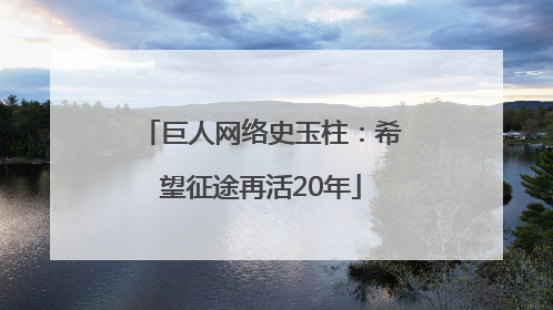 巨人网络史玉柱：希望征途再活20年