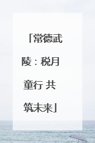 常德武陵：税月童行 共筑未来