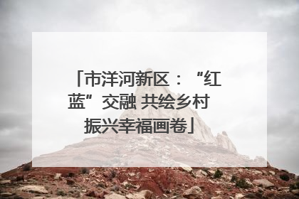 市洋河新区：“红蓝”交融 共绘乡村振兴幸福画卷