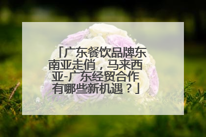广东餐饮品牌东南亚走俏，马来西亚-广东经贸合作有哪些新机遇？