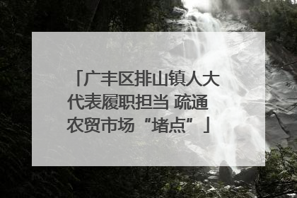 广丰区排山镇人大代表履职担当 疏通农贸市场“堵点”