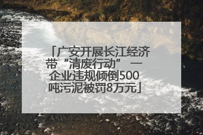 广安开展长江经济带“清废行动” 一企业违规倾倒500吨污泥被罚8万元