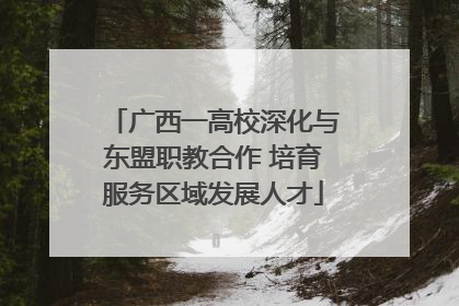 广西一高校深化与东盟职教合作 培育服务区域发展人才