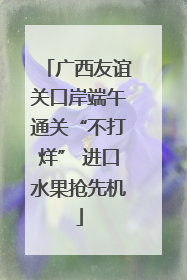 广西友谊关口岸端午通关“不打烊” 进口水果抢先机