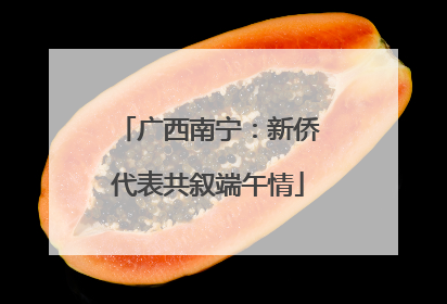 广西南宁：新侨代表共叙端午情
