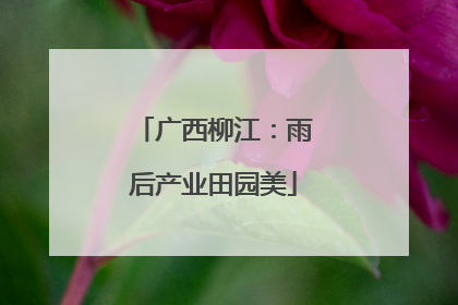 广西柳江：雨后产业田园美