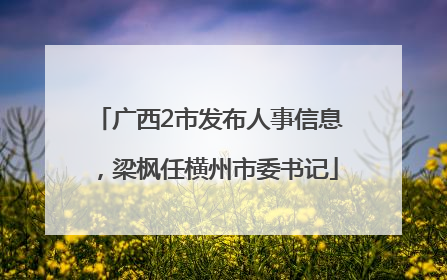 广西2市发布人事信息，梁枫任横州市委书记
