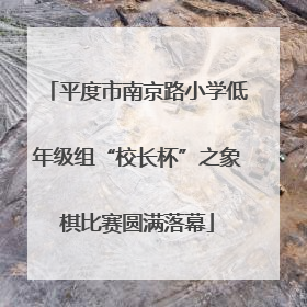 平度市南京路小学低年级组“校长杯”之象棋比赛圆满落幕