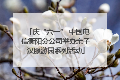 庆“六一” 中国电信衡阳分公司举办亲子汉服游园系列活动