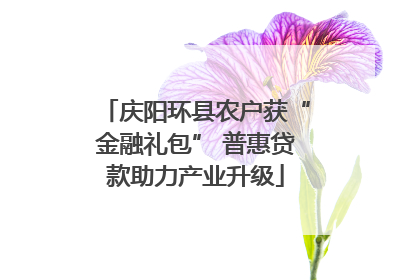 庆阳环县农户获“金融礼包” 普惠贷款助力产业升级