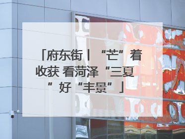 府东街丨“芒”着收获 看菏泽“三夏”好“丰景”