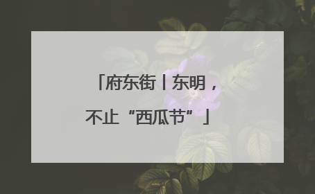 府东街丨东明，不止“西瓜节”