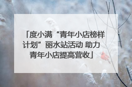 度小满“青年小店榜样计划”丽水站活动 助力青年小店提高营收