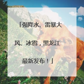 强降水、雷暴大风、冰雹，黑龙江最新发布！
