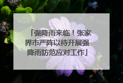 强降雨来临！张家界市严阵以待开展强降雨防范应对工作