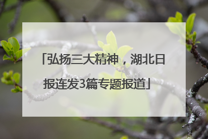 弘扬三大精神，湖北日报连发3篇专题报道