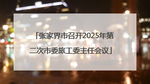 张家界市召开2025年第二次市委旅工委主任会议