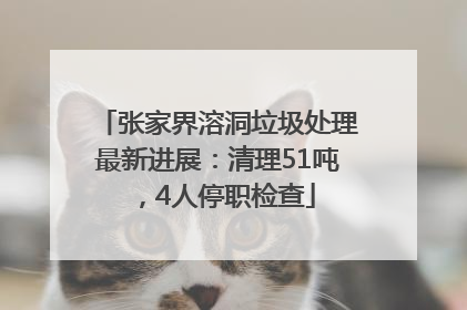 张家界溶洞垃圾处理最新进展：清理51吨，4人停职检查