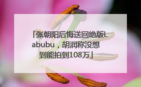 张朝阳后悔送回绝版Labubu，胡润称没想到能拍到108万