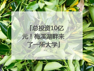 总投资10亿元！梅溪湖畔来了一所大学