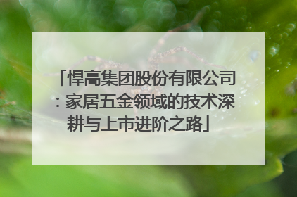 悍高集团股份有限公司：家居五金领域的技术深耕与上市进阶之路