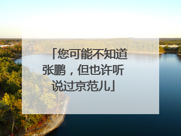 您可能不知道张鹏，但也许听说过京范儿