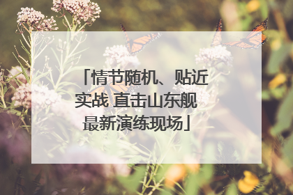 情节随机、贴近实战 直击山东舰最新演练现场